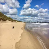 Salcombe North Sands Beach